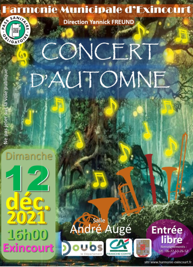 l'orchestre en concert