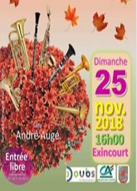 l'orchestre en concert